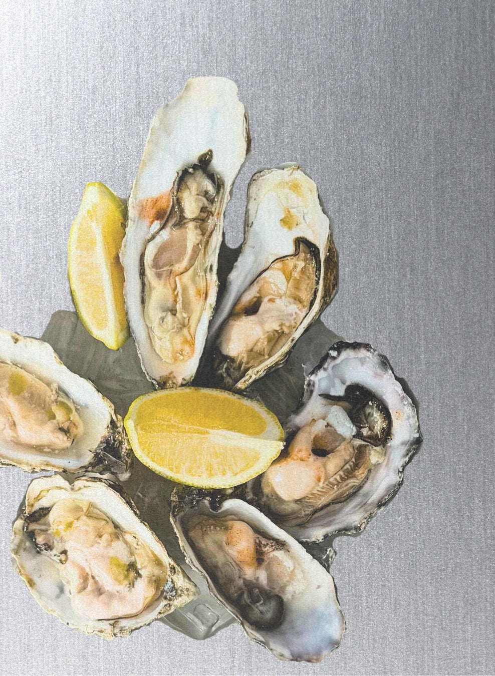 Shiny Oysters by Leonofska